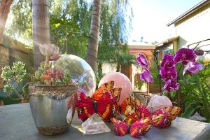 Lemongrass salon and spa encinitas ca happy new year and well wishes for 2017
