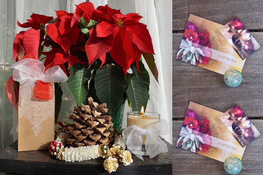 spa-gift-card-and-holiday-candles lemongrass-salon-and-spa-gift-card-and-holiday-candles