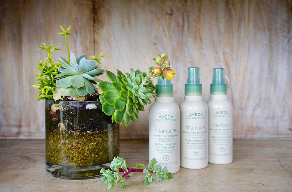 Aveda Shampure thermal dry conditioner for hair at Lemongrass Aveda Salon and spa Encinitas