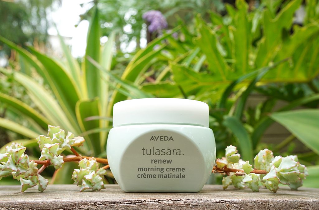Lemongrass salon and spa encinitas | aveda tulasara renew morning cream