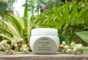 Lemongrass salon and spa encinitas | aveda tulasara renew morning cream