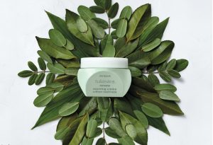 tulasara renew morning cream