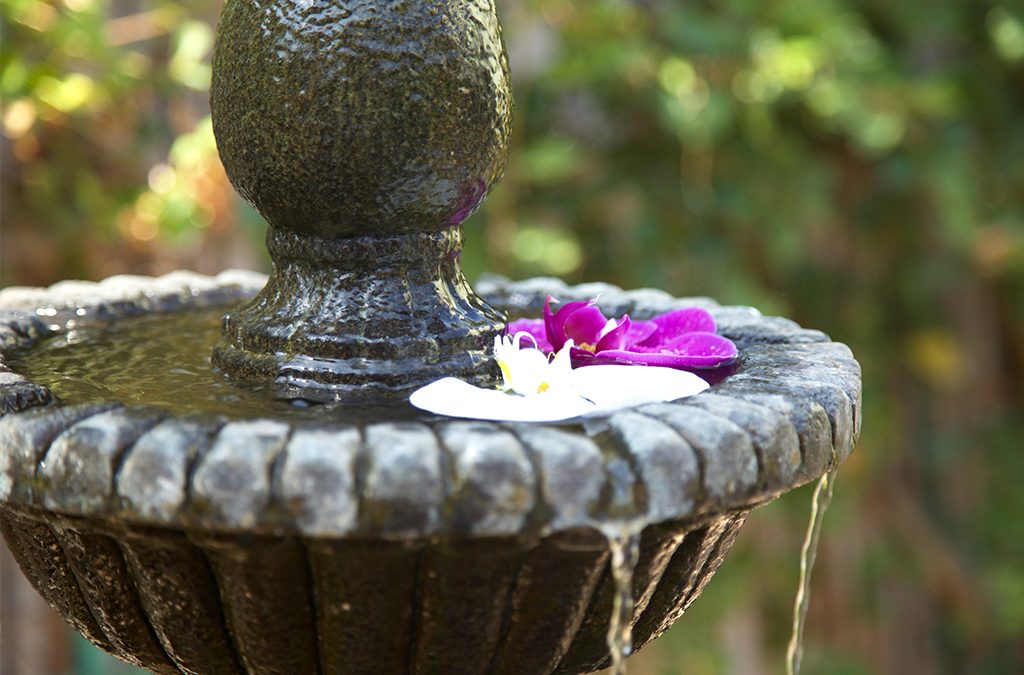 lemongrass aveda salon and spa encinitas | overflowing water fountain with flowers