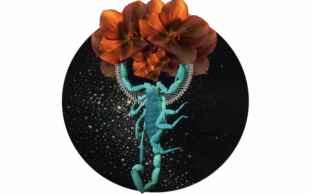Astrological Wisdom | New Moon in Scorpio